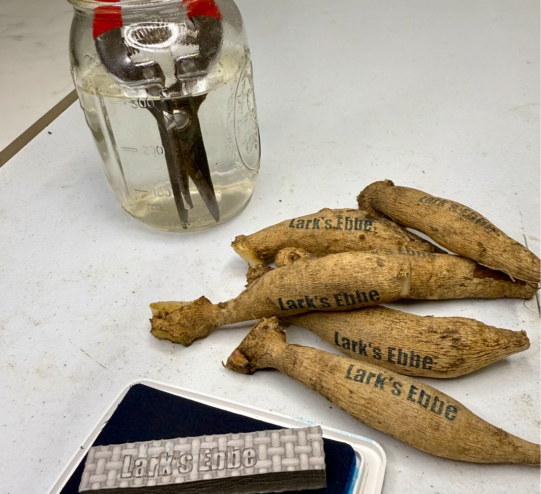 How to Store Dahlia Tubers Over Winter: A Complete Guide