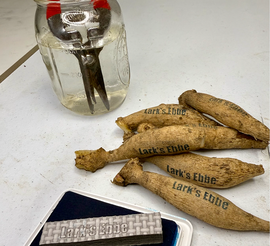 How to Store Dahlia Tubers Over Winter: A Complete Guide