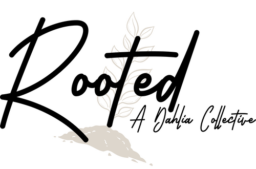 Rooted